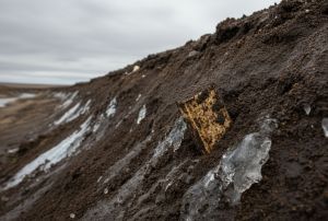 Yedoma Ledger, exposure in permafrost at find location